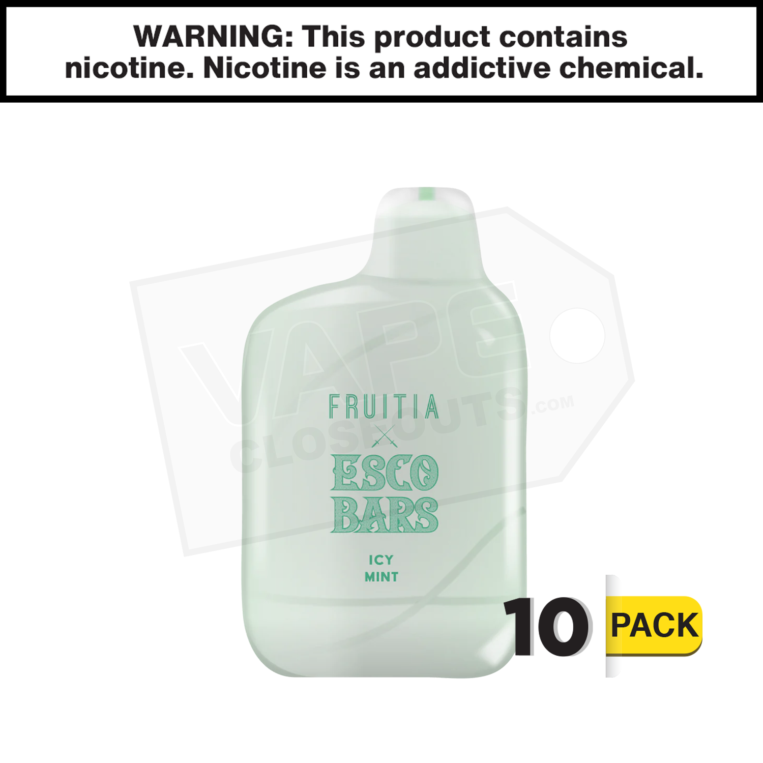 Esco Bars Fruitia | Icy Mint | 6000 Puffs Disposable Rechargeable Vape — image 2
